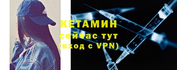 прущие грибы Коряжма