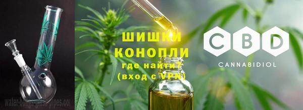 прущие грибы Богородск