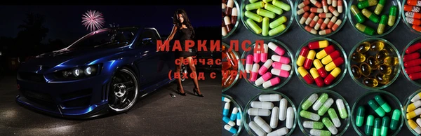 apvp Богданович